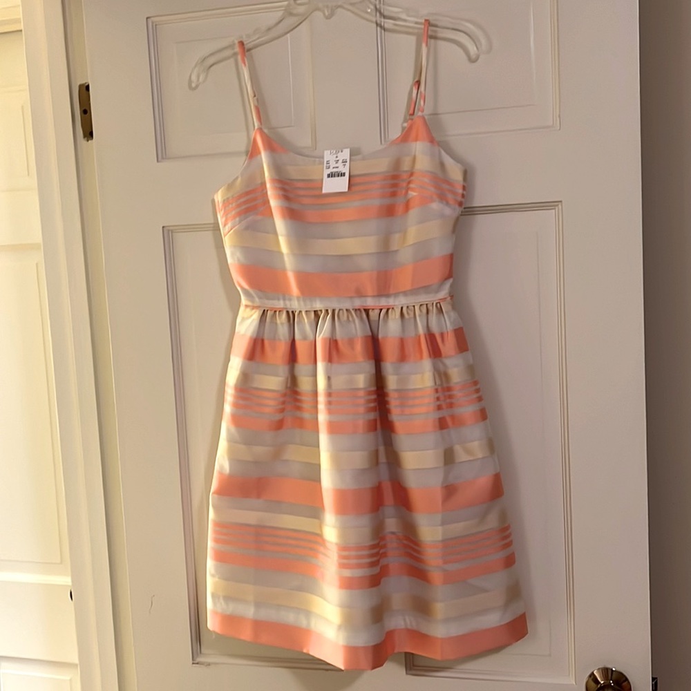 NWT J Crew Special Occasion Dress